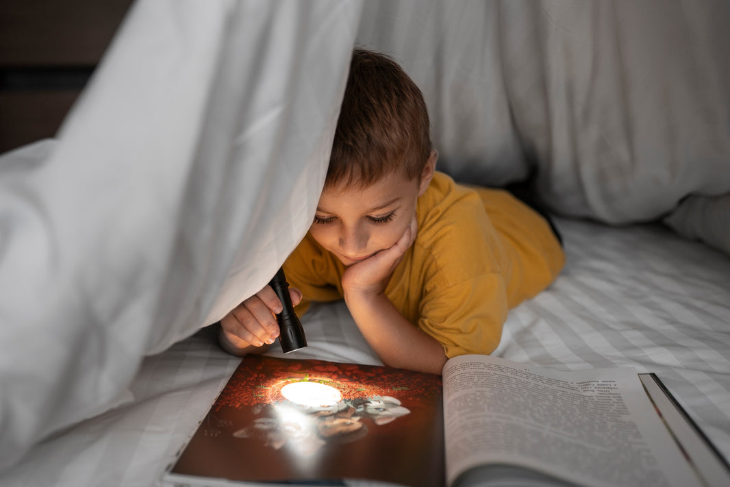 Bedtime story ideas